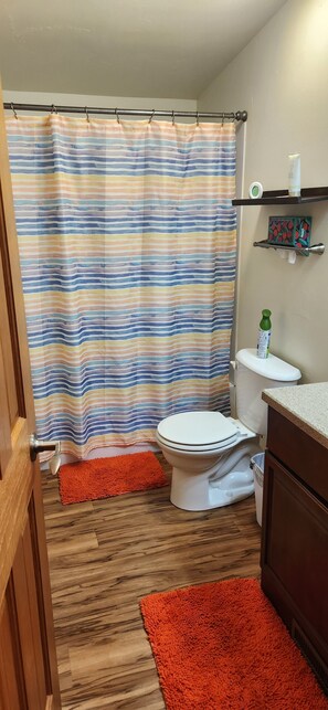 Hair dryer, towels, soap, shampoo