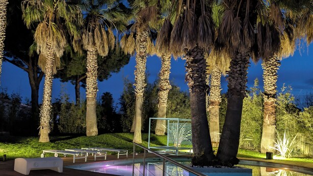 A nighttime outdoor area with a glass-bottomed pool, palm trees, and a metal railing. - Villa Summer Wind - Palm Beach Agathois (Agde)