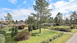 Un barrio residencial con casas, un árbol grande y un césped bien cuidado.
