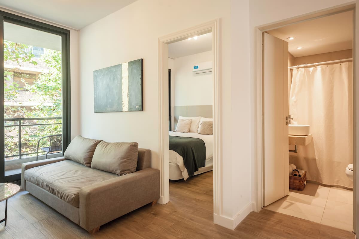 A modern room with a sofa, a bed, and a bathroom.