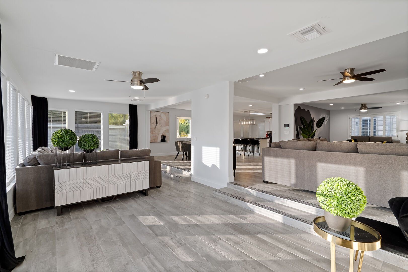 A spacious living area with a sofa set, a coffee table, and a potted plant.