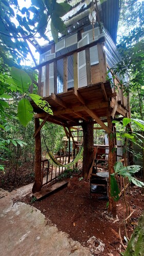 Cabañas Ecológicas,lo Ideal Para Disfrutar de la Naturaleza, Aire Puro, Animales