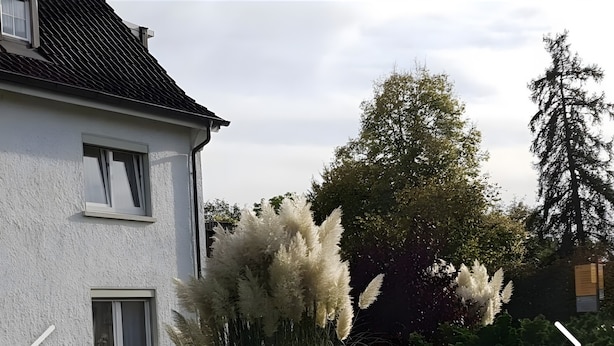 Photo non classée, 1 sur 33, bouton