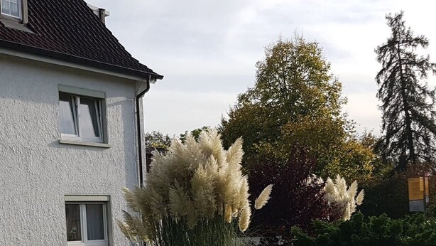 A white building with a sign reading 'FERIENWOHNUNG zu vermieten' and a gated entrance. - Apartment 'Michael' with Balcony and Wi-Fi (Langenargen)