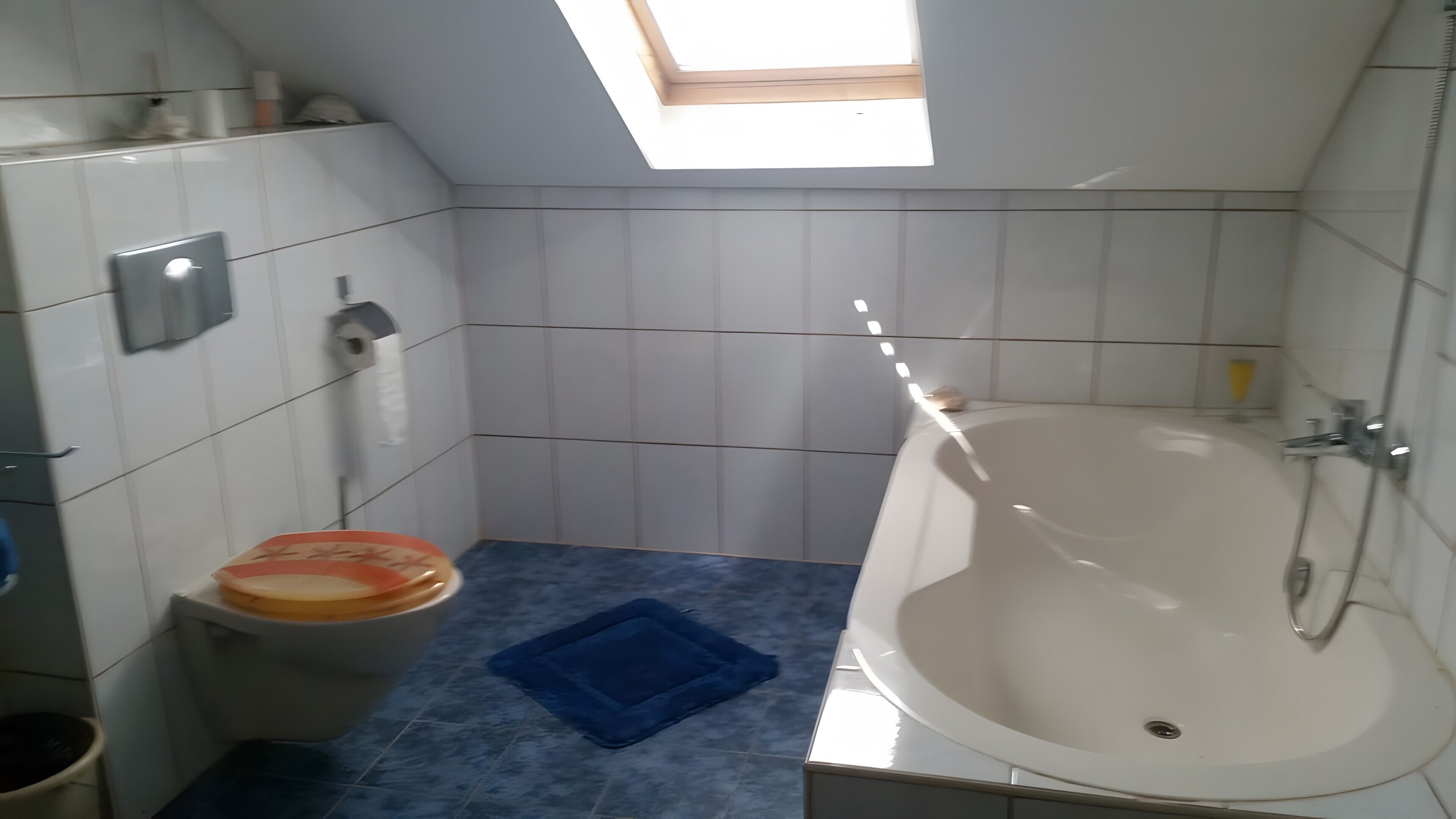 A bathroom with a toilet, a bathtub, and a skylight.
