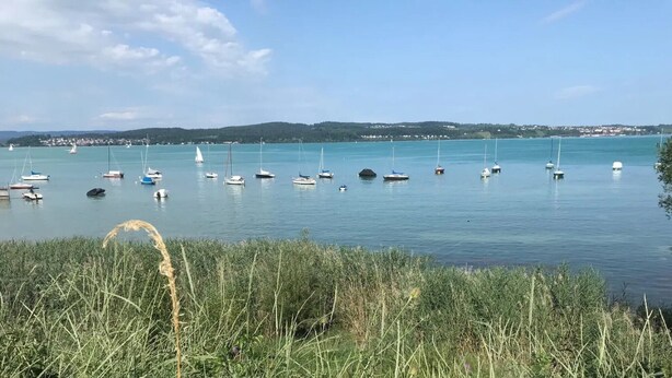 A calm lake with numerous sailboats anchored, surrounded by grassy areas and distant hills.