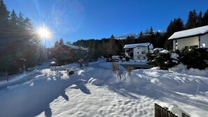Eine verschneite Landschaft mit Haus und Bäumen.