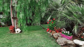 A garden with a variety of plants, including ferns and flowering shrubs. - Villa Virginia: private pool, walk 3min for beach and 30min for Paestum temples. (Licinella-Torre di Paestum)
