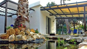 A modern outdoor area with a water feature, rocks, and a palm tree. - Villa Virginia: private pool, walk 3min for beach and 30min for Paestum temples. (Licinella-Torre di Paestum)