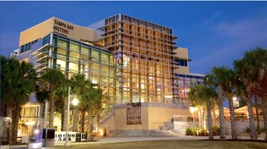 Exterior - Hyde Park Home, Family & Pet-Friendly (Tampa)