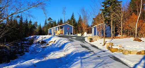 Black bear cabin at Moosehead lake