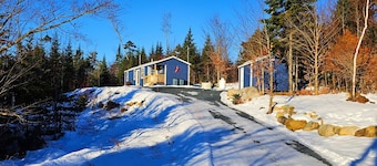 Black bear cabin at Moosehead lake