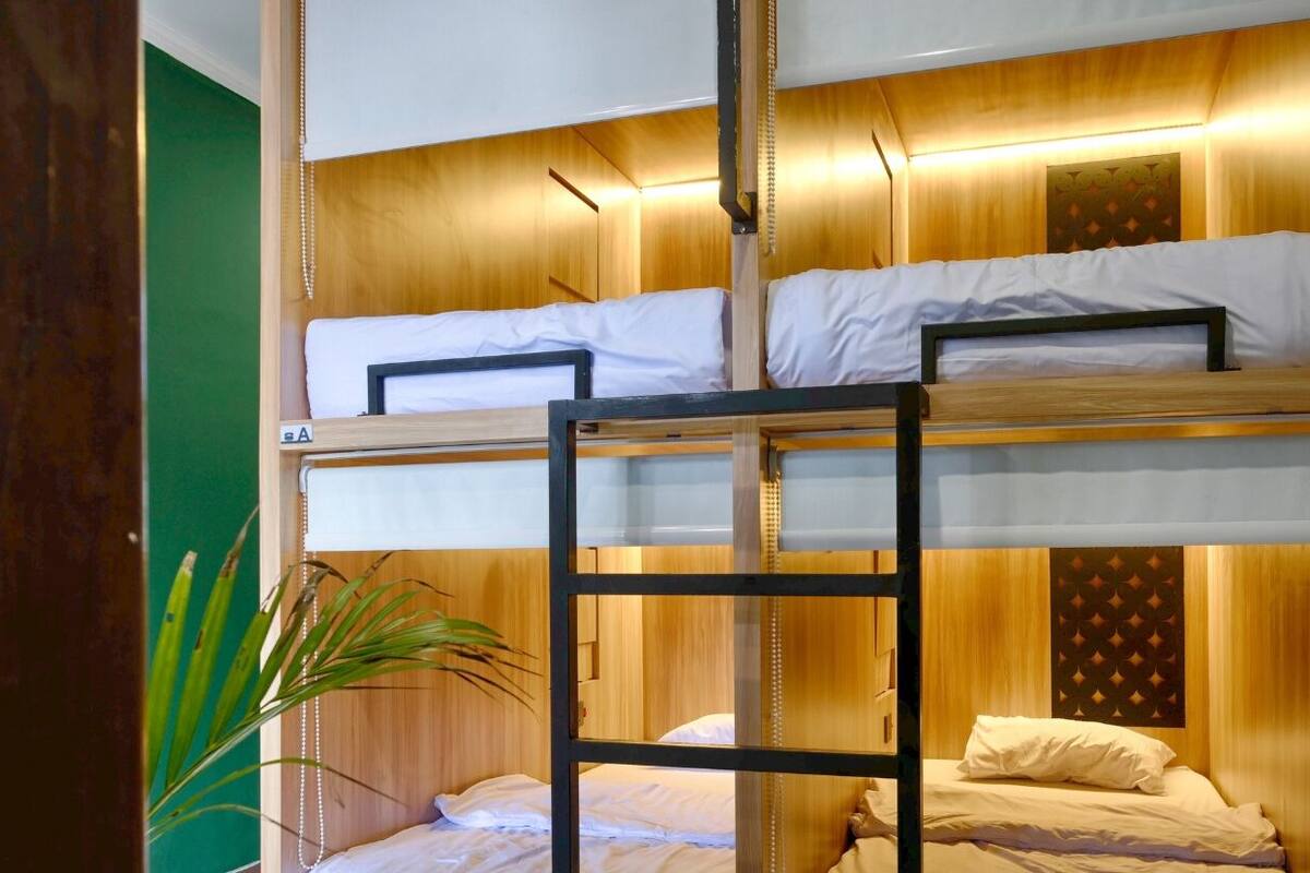 A bunk bed room with wooden walls and a ladder.