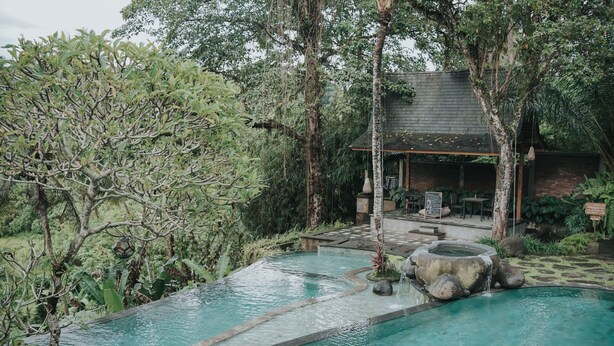 Un espace piscine doté d’une terrasse en bois, entouré d’une végétation luxuriante et d’arbres.