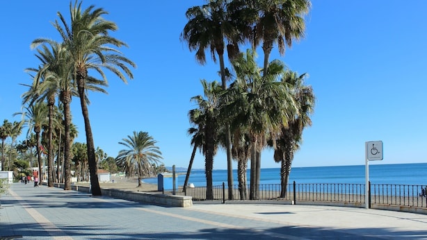 A paved promenade with palm trees and a wheelchair-accessible sign.
