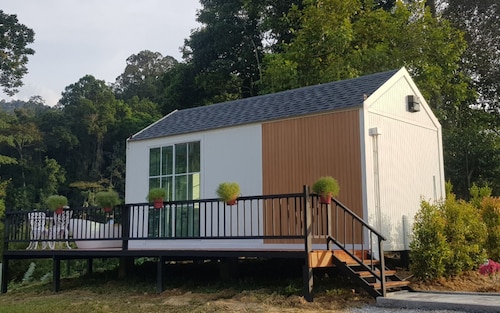 The Pubpa Backyard