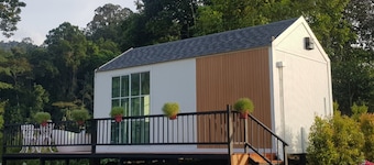 The Pubpa Backyard