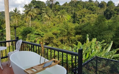 The Pubpa Backyard