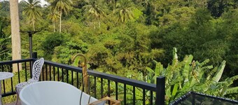 The Pubpa Backyard