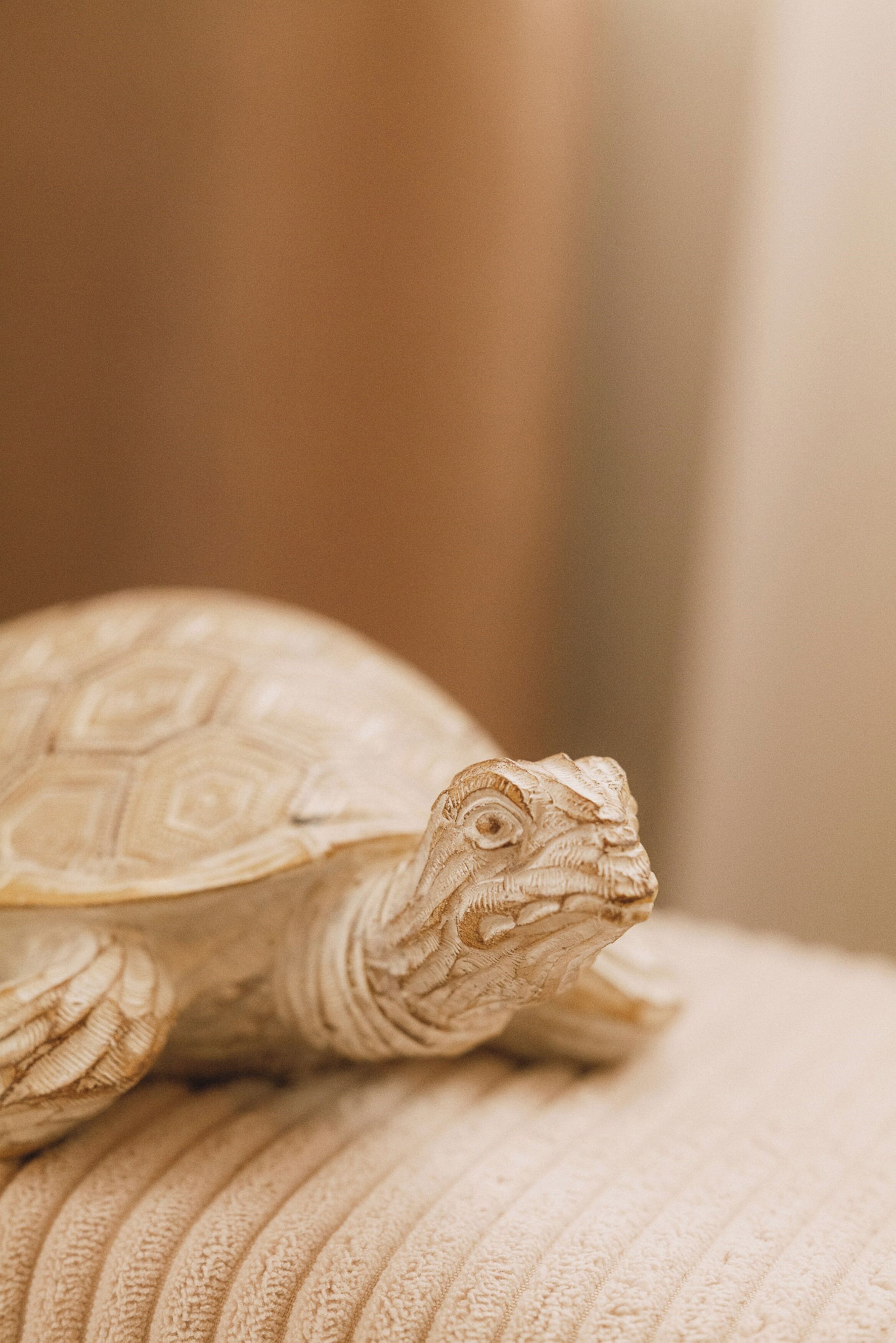 A close-up of a turtle figurine on a textured beige surface.