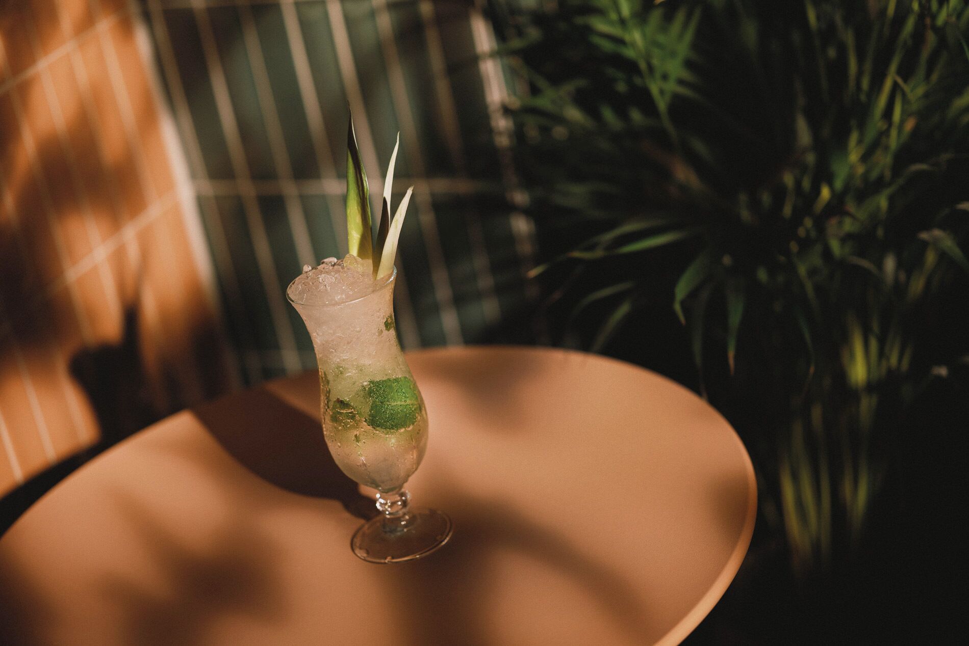 Un cocktail servi dans un verre, posé sur une table, avec une plante en arrière-plan.