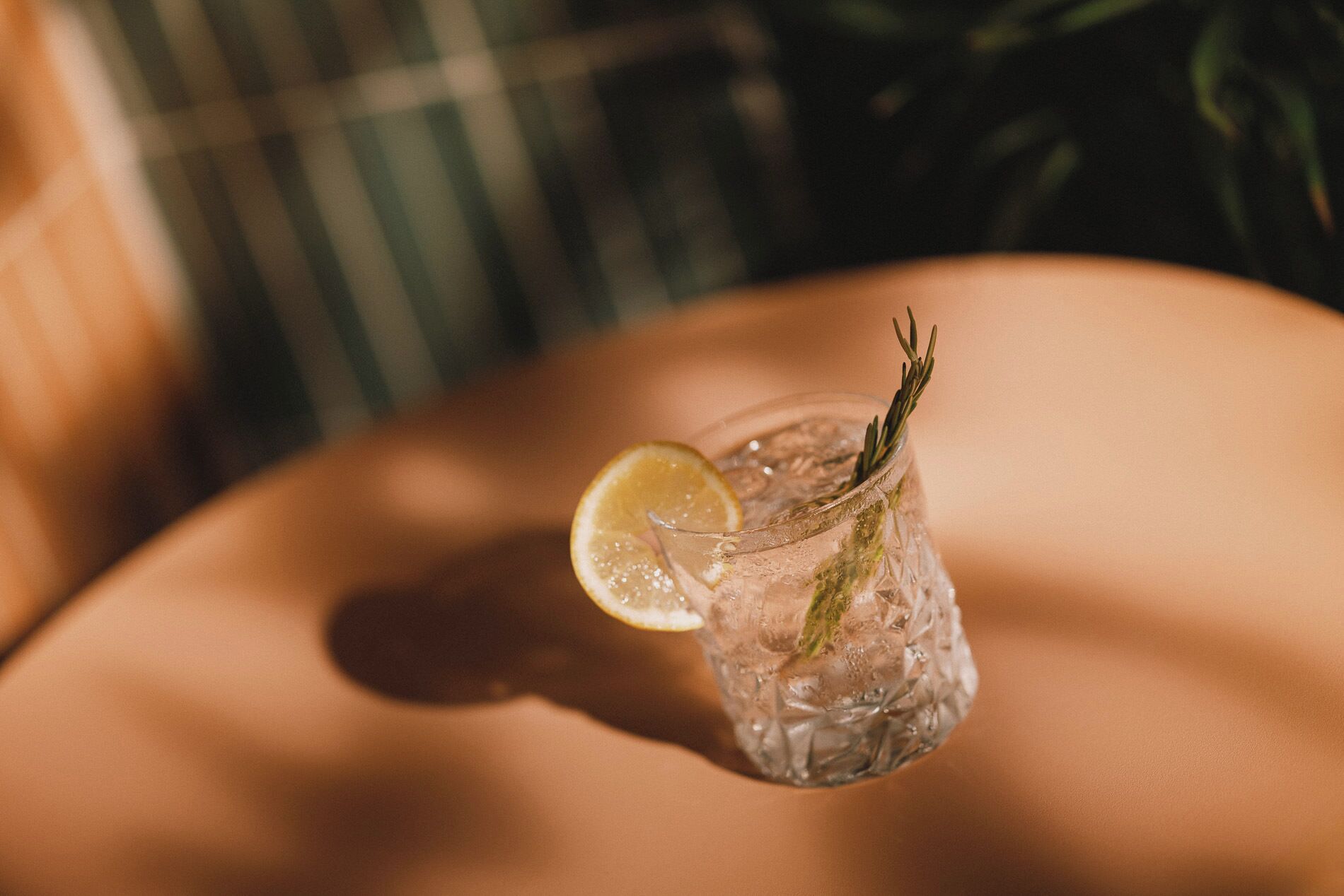 A clear glass with ice, a lemon slice, and a sprig of rosemary on a table.
