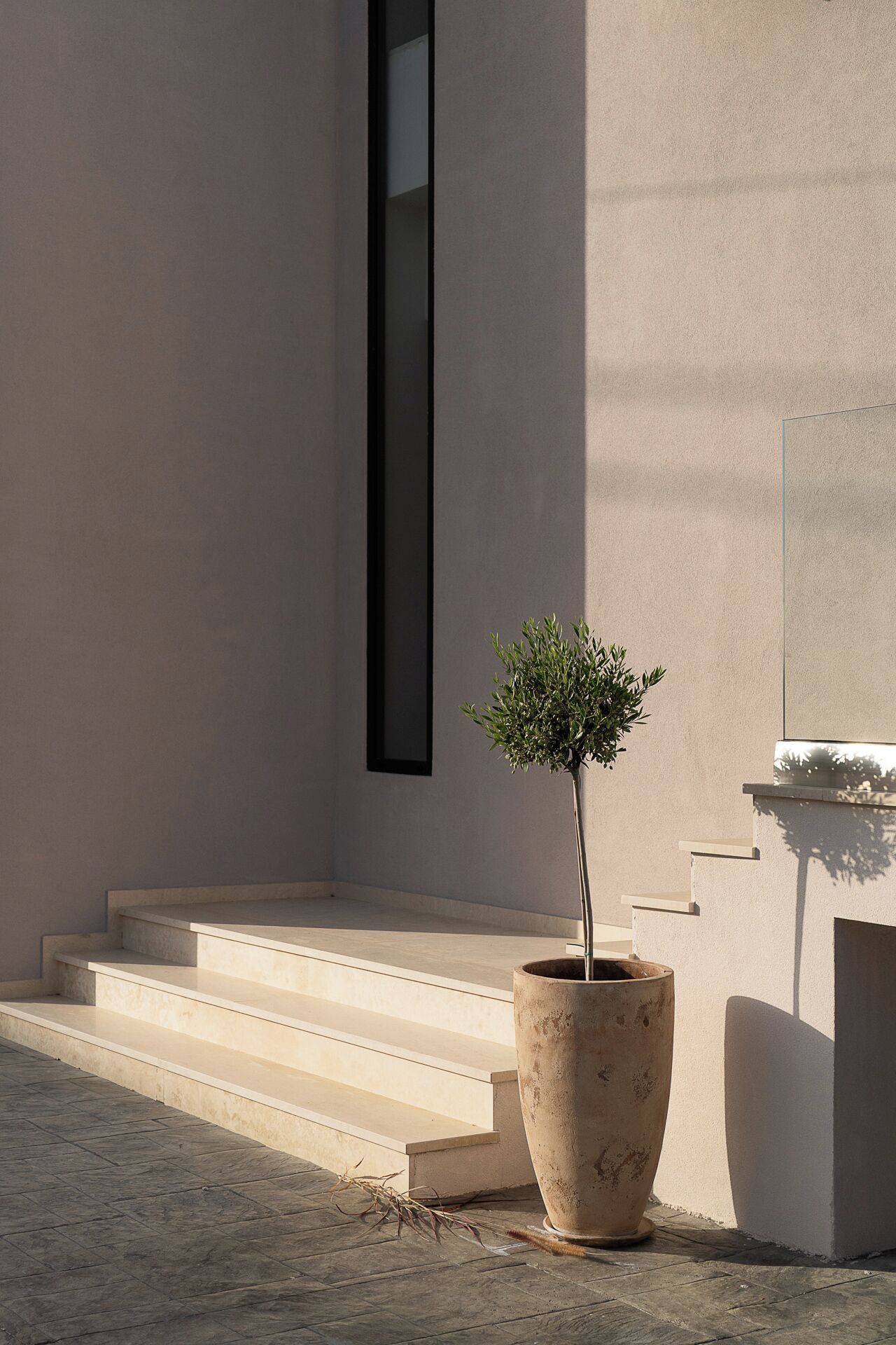 A modern building exterior with a potted tree, steps leading up to the entrance, and a minimalist design.