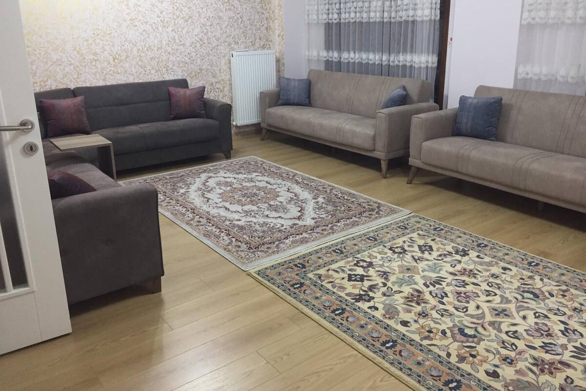 A living room with two sofas, a coffee table, and a patterned rug.