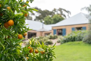 Property grounds - The Bundanoon Lakehouse -  Amazing  home with private lake (Bundanoon)