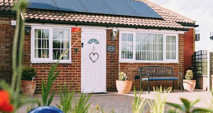 Cozy Scarning Apartment for one