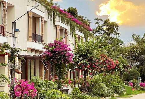 Villa Olives Vanashraya