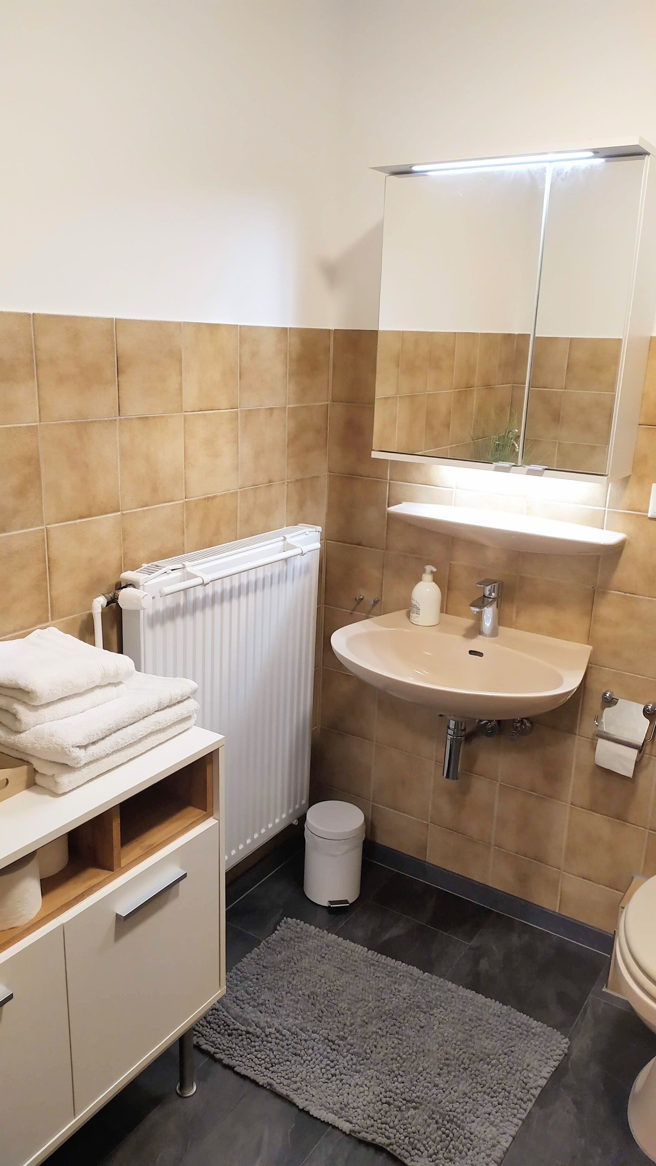 Ein modernes Badezimmer mit Handtuchheizkörper, Waschbecken mit Spiegel darüber, Toilette und kleiner Mülleimer.