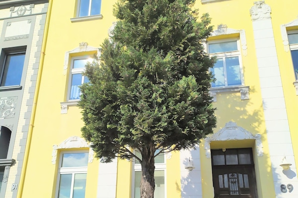 Außendetails