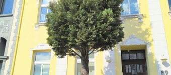 Super Studio #7 Hell + Gemütlich + Nahe Aachen