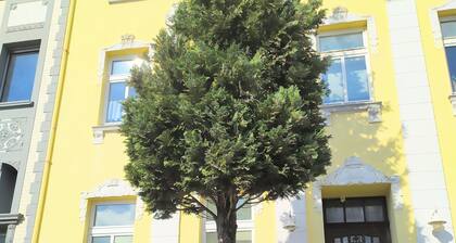 Super Studio #7 hell + gemütlich + nahe Aachen