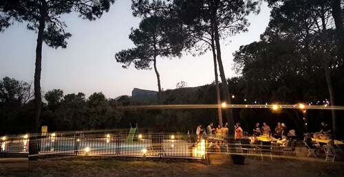 L'Asphodele Blanche au cœur du Pic Saint Loup