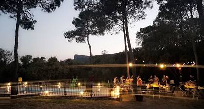 L'Asphodele Blanche au cĆur du Pic Saint Loup