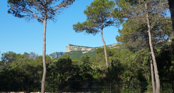 Property grounds - Charmante Maison Bien Située Entre Vigne et Pinède au Cœur du Pic Saint Loup (VALFLAUNES)