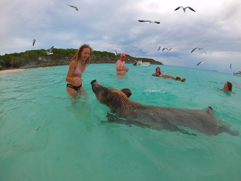 Florida Keys Miami Catamaran all inclusive Gifford Vrbo