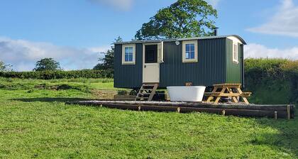 Cosy Shepherds hut in Carmarthen