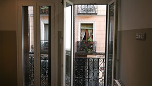A hallway with a glass door leading to a balcony with potted plants.