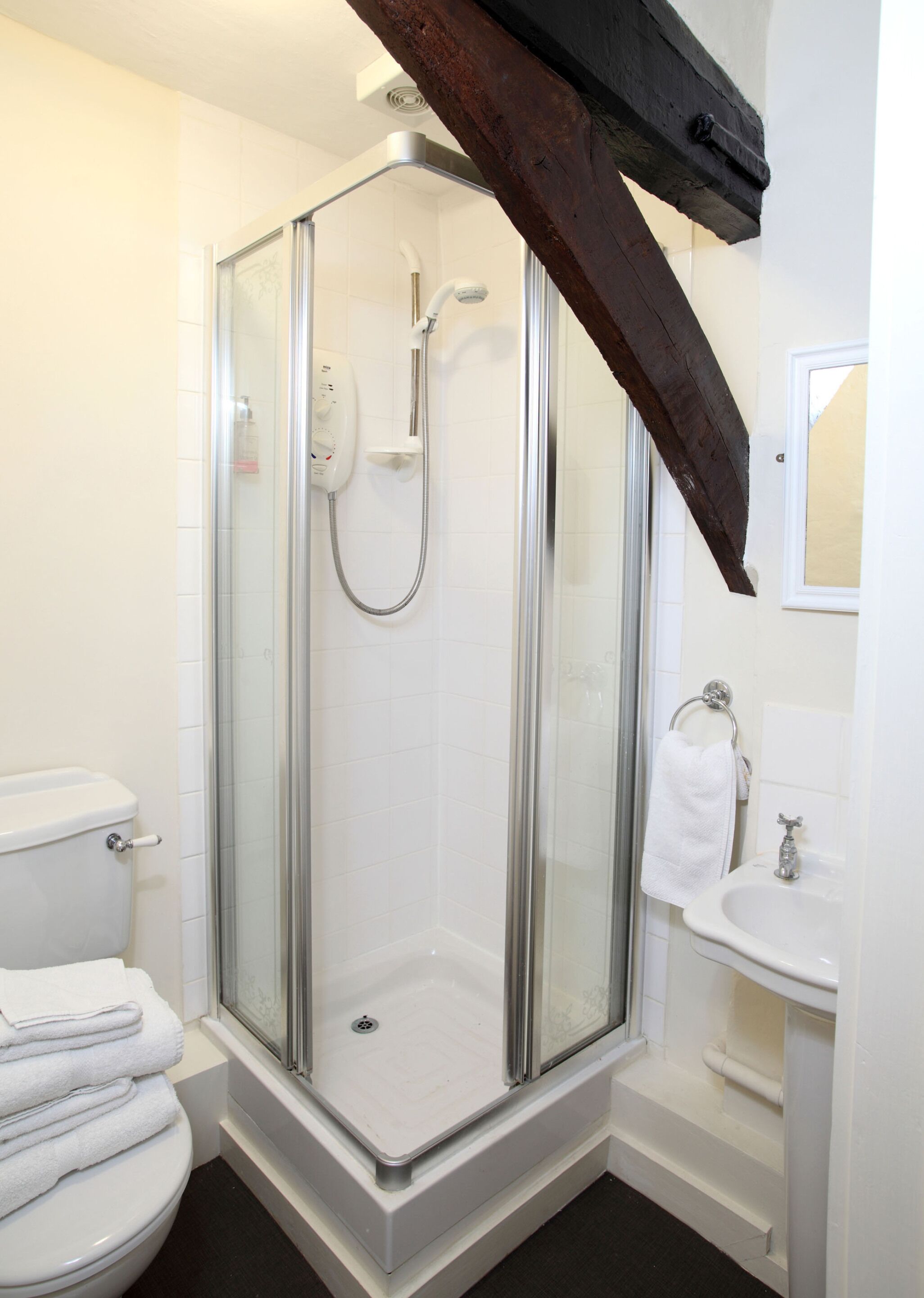 A modern bathroom with a glass-enclosed shower, a white toilet, and a sink with a mirror above it.