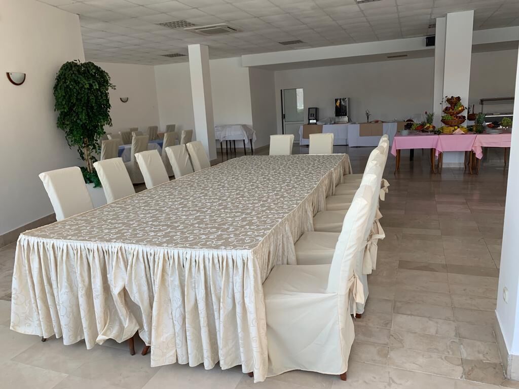 A conference room with a long table, white chairs, and a small plant.