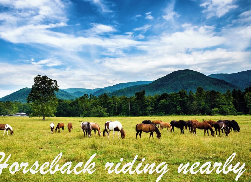 A field with horses grazing, a tree, and mountains in the background.