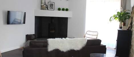 Smart TV, fireplace, books