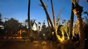 Un espacio exterior nocturno con palmeras y suelo de tierra.