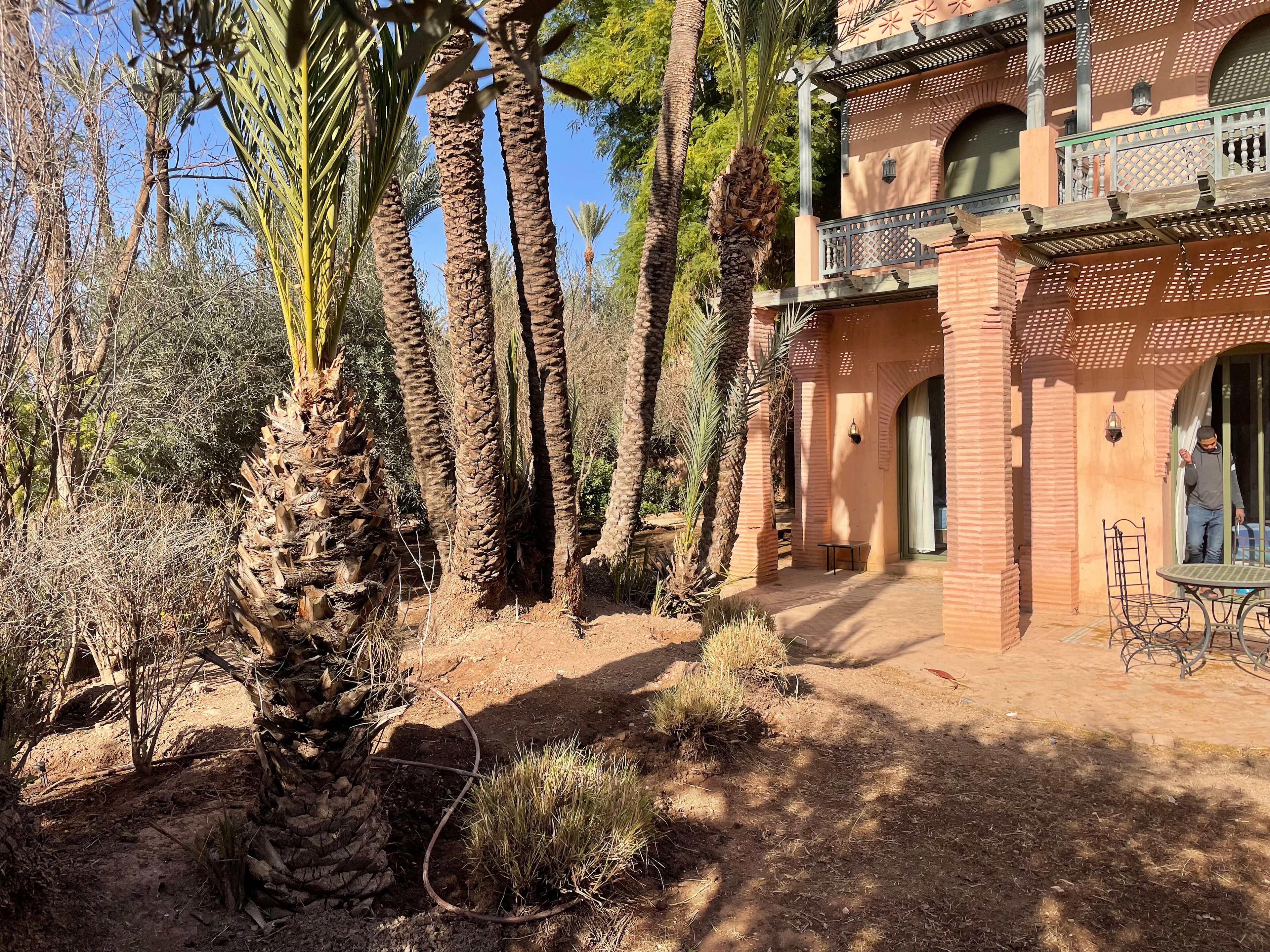 A building with a balcony, surrounded by palm trees and dry vegetation.
