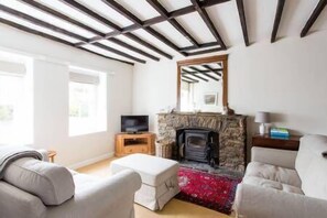 House | Living area | TV, fireplace - Simple Luxury in Brecon Beacons Village House (Llandovery)