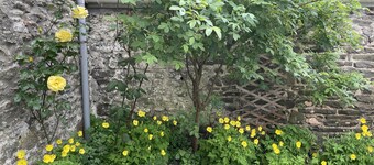 Simple Luxury in Brecon Beacons Village House