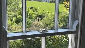 Une fenêtre donnant sur un paysage verdoyant, avec un champ herbeux et des arbres.